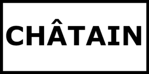 couleur du cheveux châtain